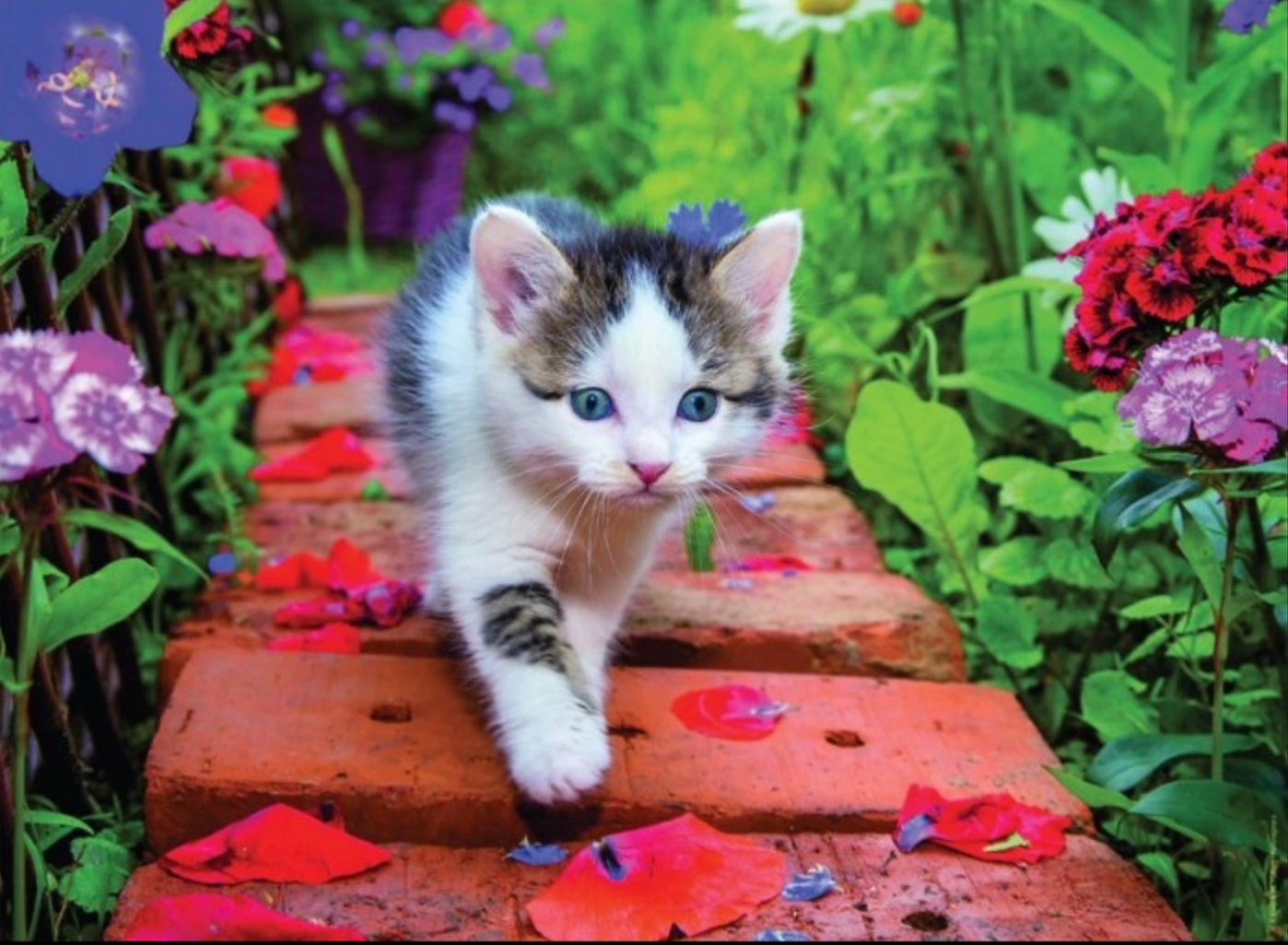 Chaton au Jardin | 500 Piece Puzzle