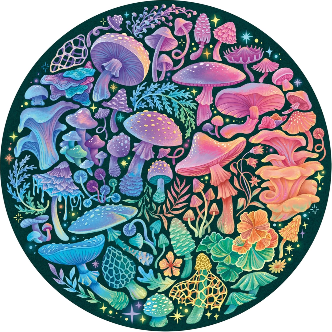 Circle of Colors: Mushrooms | 500 Piece Puzzle