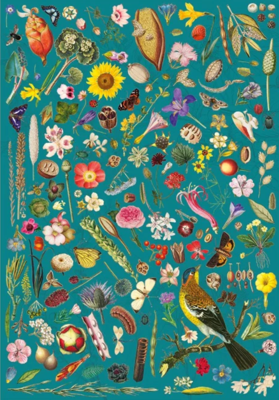 Floral Fantasy | 500 Piece Puzzle