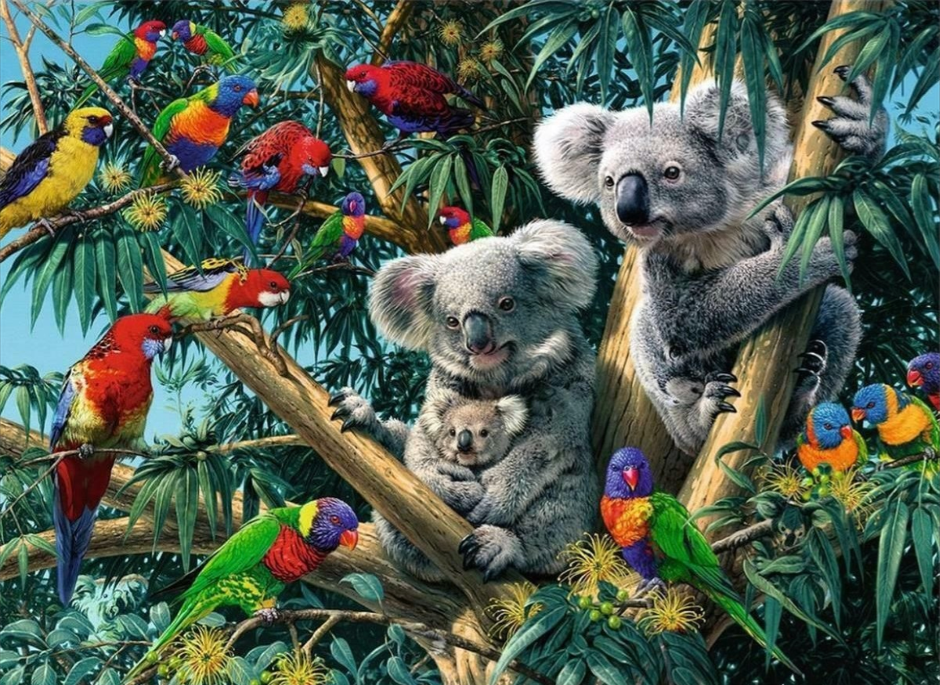 Koalas in the Tree | 500 Piece Puzzle
