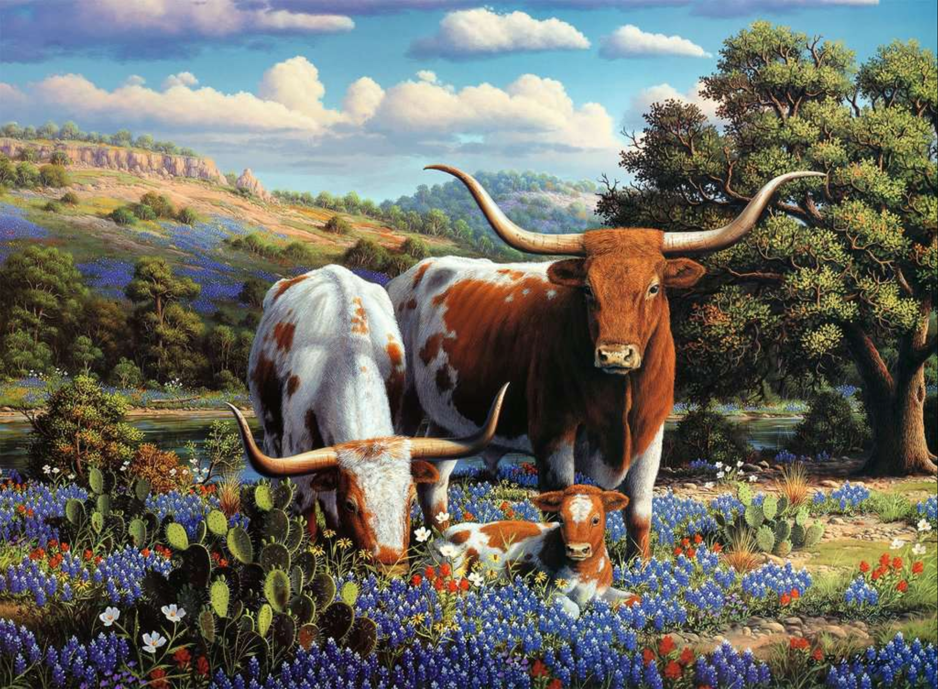Loving Longhorns | 500 Piece Puzzle