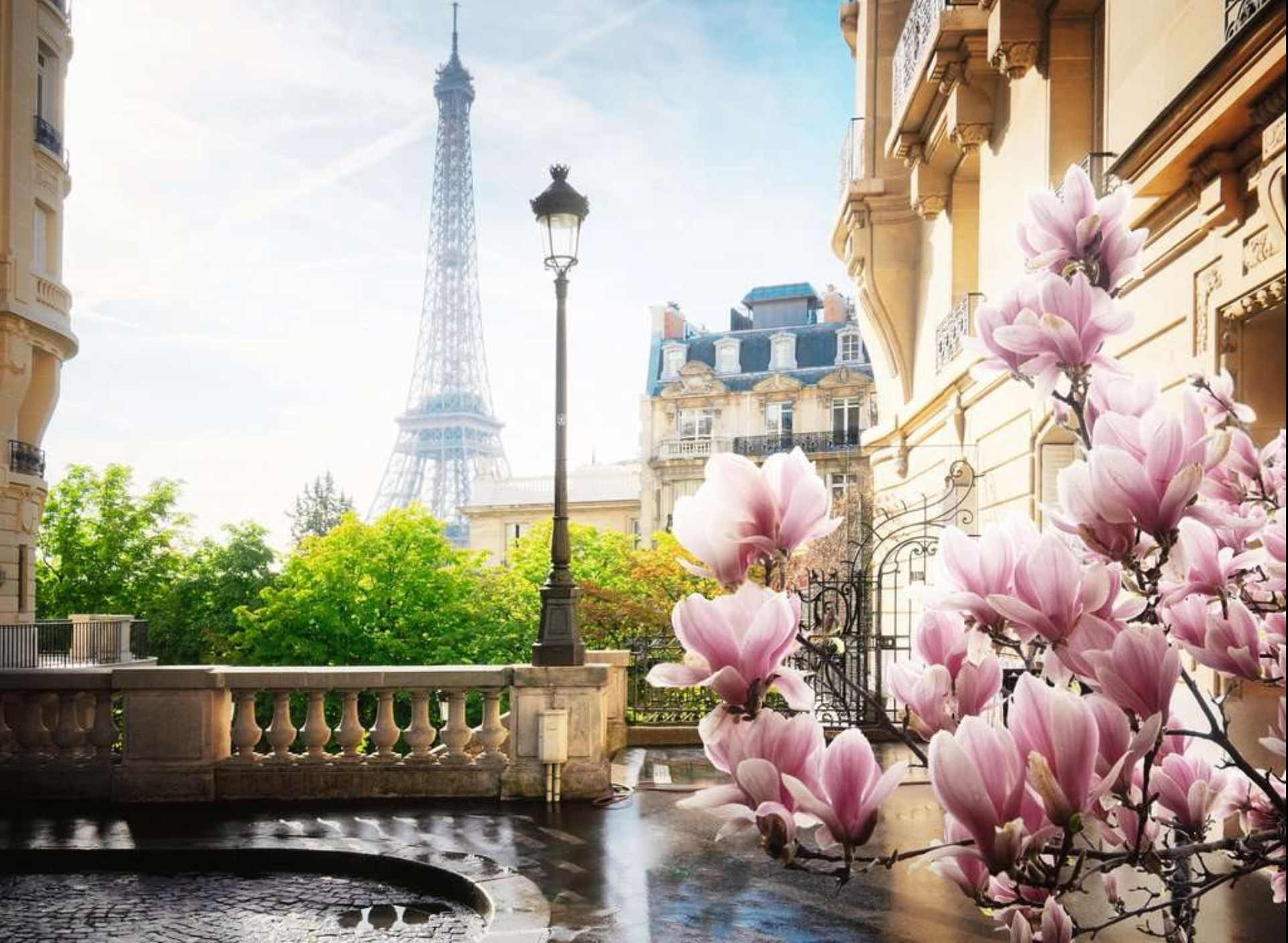 Springtime in Paris | 500 Piece Puzzle