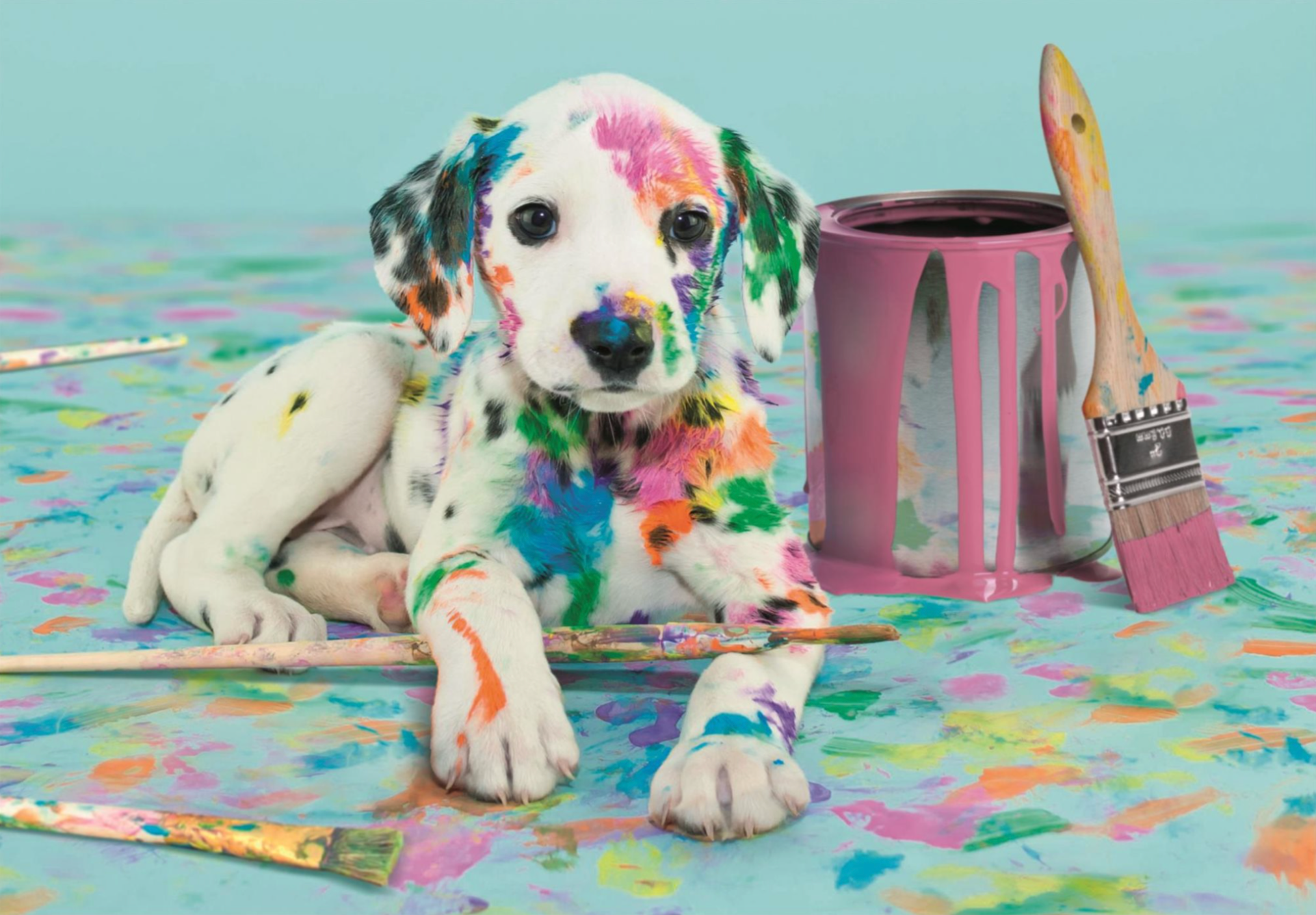 The Funny Dalmatian | 500 Piece Puzzle