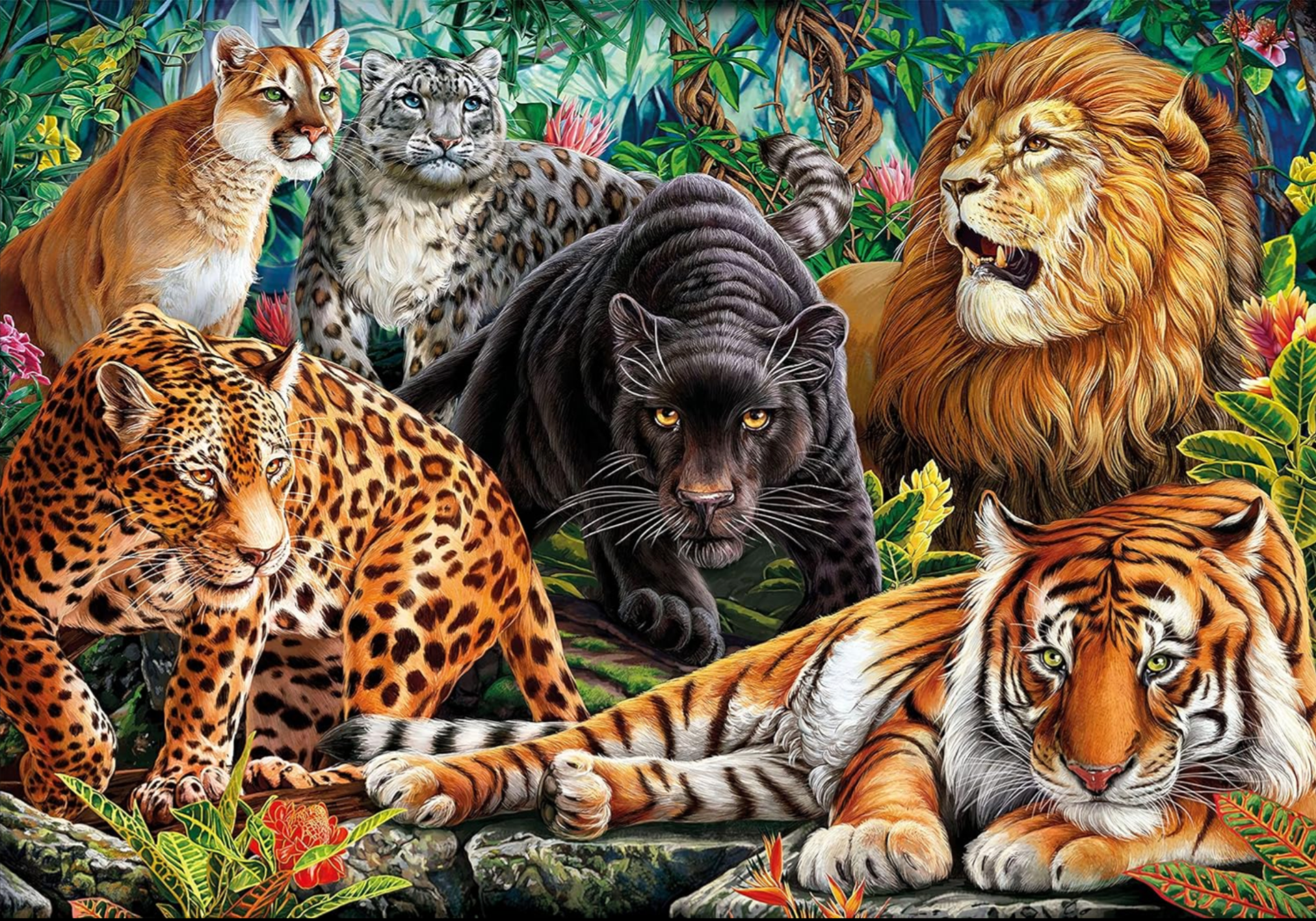 Wild Cats | 500 Piece Puzzle