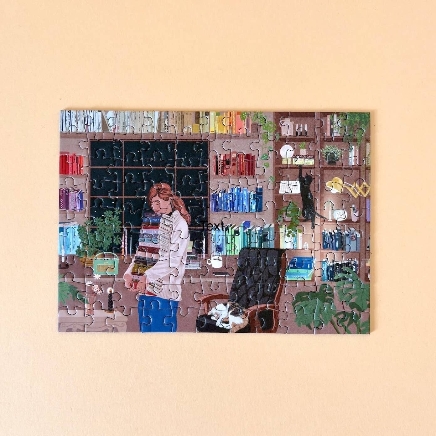 Reading Room | 99 Piece Mini Puzzle